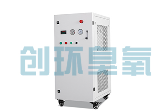 盐城石斑鱼养殖水质调控完整指南：臭氧发生器配置与操作步骤