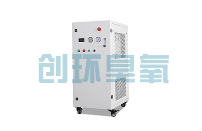 盐城比传统换水更高效？臭氧发生器在石斑鱼养殖中的水质净化原理解析