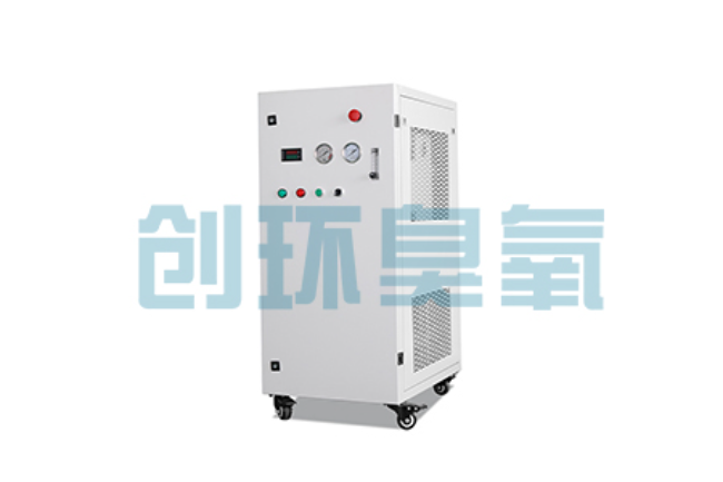 盐城比传统换水更高效？臭氧发生器在石斑鱼养殖中的水质净化原理解析
